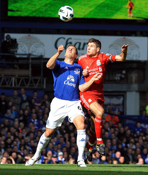 也表明了涉 也表明了涉