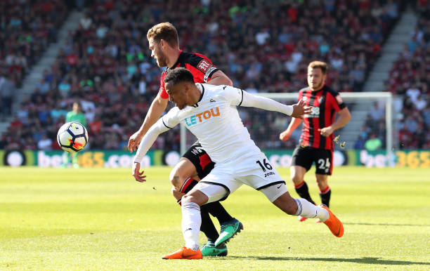 未来展望 未来展望